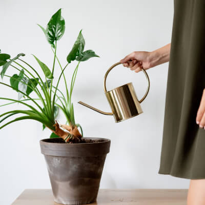 The Art of Drawing Readers In: Your attractive post title goes here